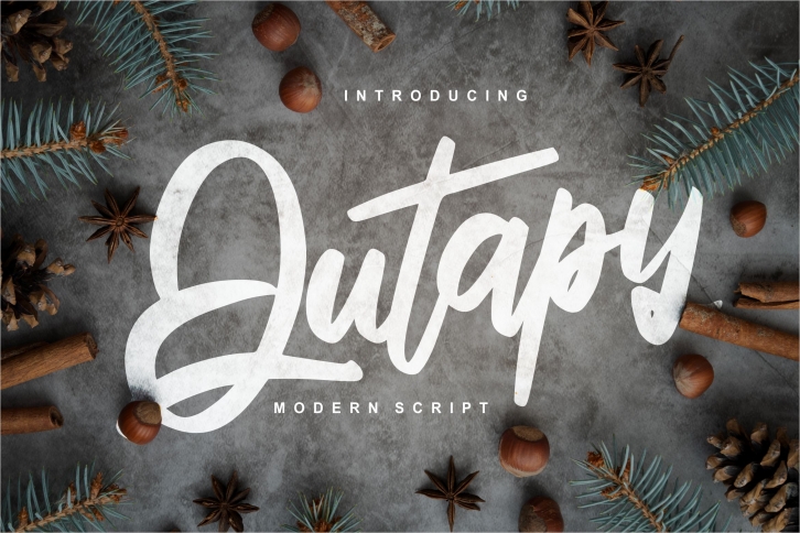 Qutapy | Modern Script Font Font Download