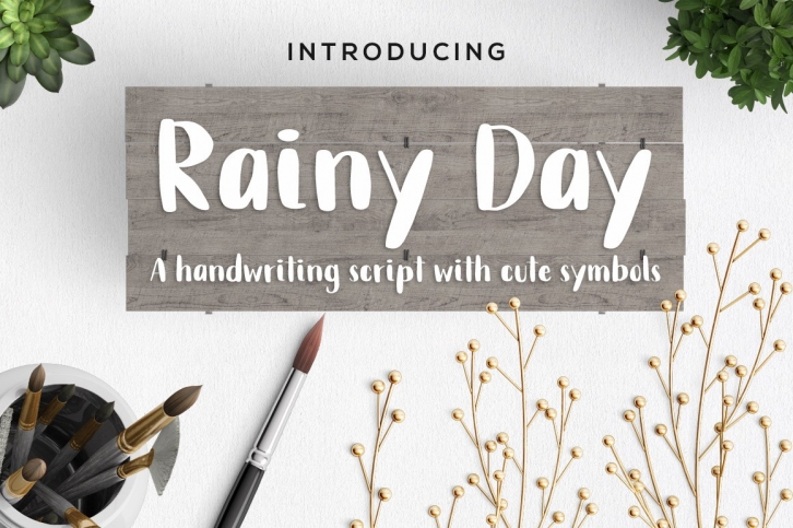 Rainy Day Handwriting Script Font Font Download