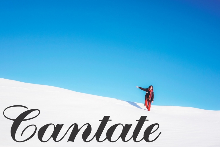 Cantate Font Download