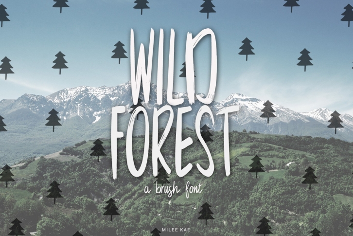 Wild Forest a modern brush font Font Download