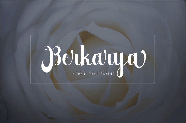 Berkarya Font Download
