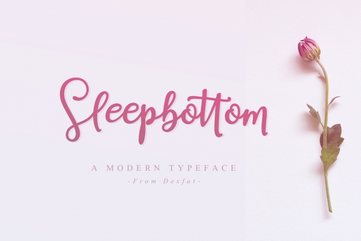 Sleepbottom | A Modern Typeface Font Download