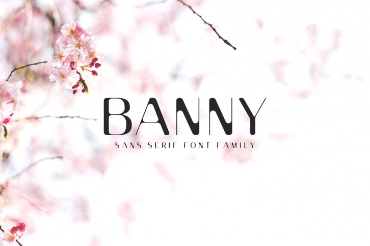 Banny Sans Serif Font Family Font Download