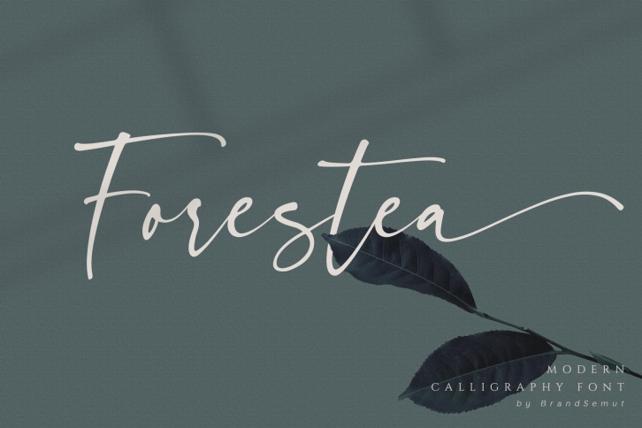 Forestea - Classy Script Font Download