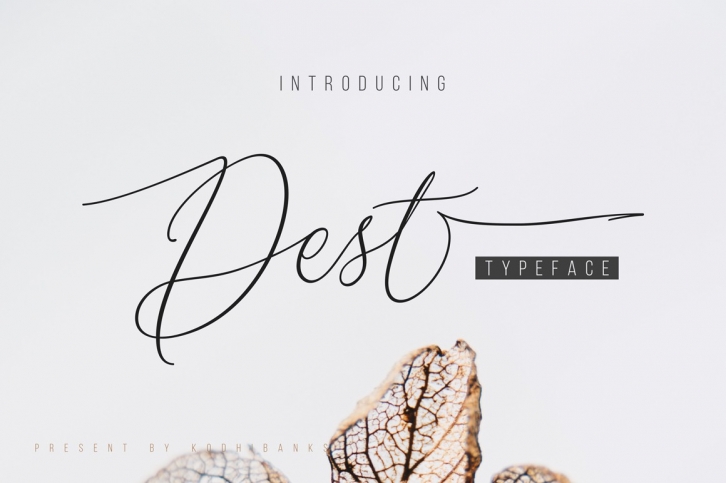 Dest Typeface Font Download