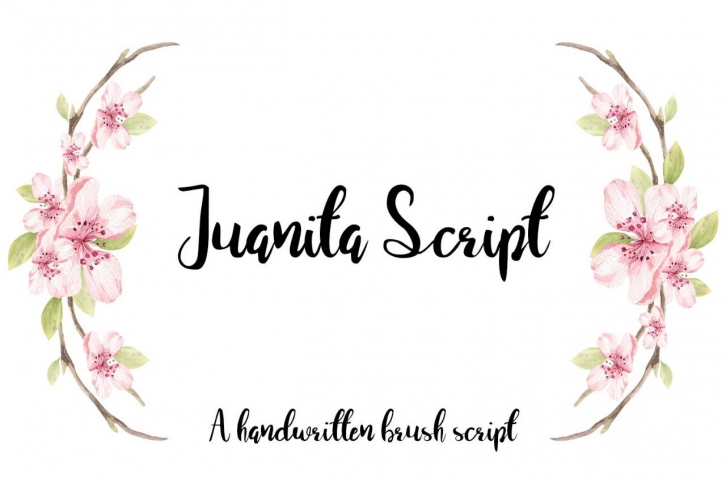 Juanita Brush Script Font Download