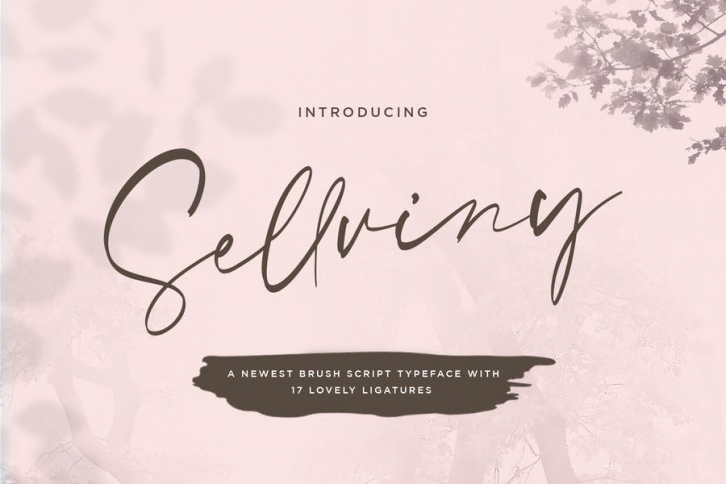 Sellviny - Handwritten Font Font Download