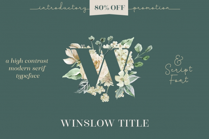 Winslow Title Complete Family Font Download