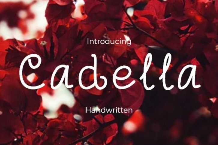 Cadella Font Download