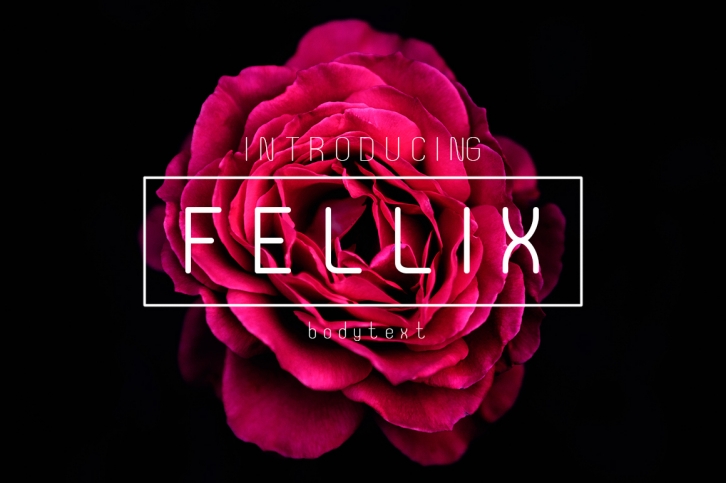 Fellix Font Download