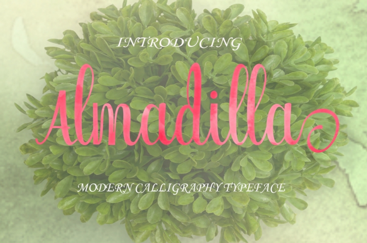 Almadilla Font Download