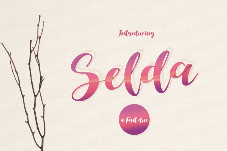 Selda Script Font Duo Font Download