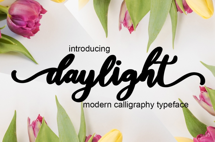 daylight script Font Download