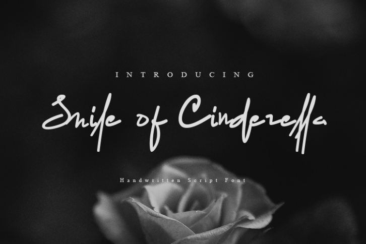 Smile of Cinderella Font Download