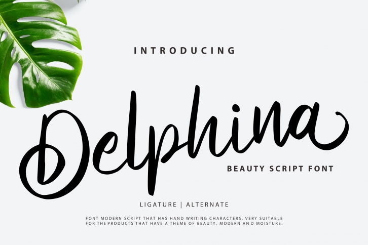 Delphina | Beauty Script Font Font Download