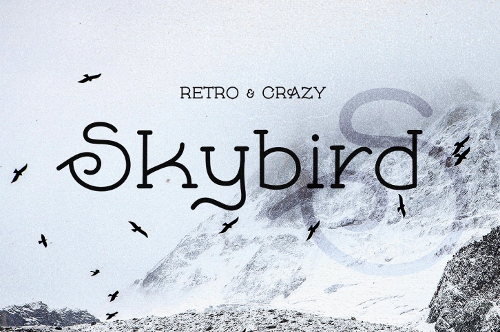 Skybird - Crazy, unique & retro Font Download