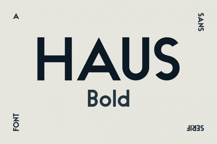 HAUS Sans Bold Font Download