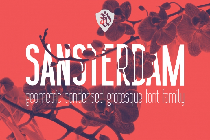 Sansterdam Bold and Thin Font Download
