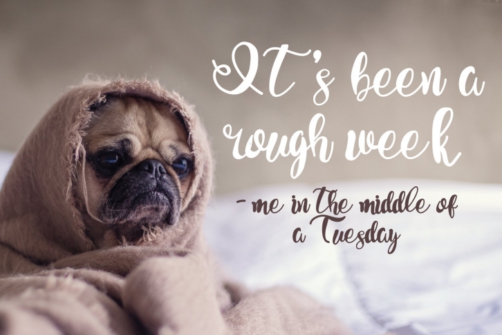 Day Drinking - A Handwritten Script Font Font Download