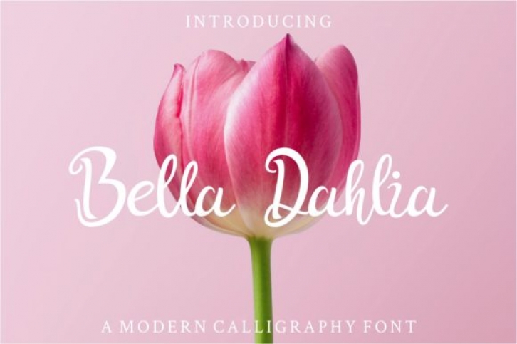 Bella Dahlia Font Download