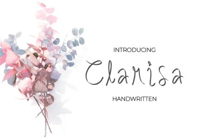 Clarisa Font Download