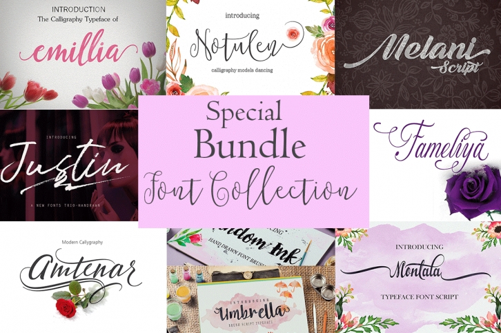 Special Bundle-Font Collection Font Download