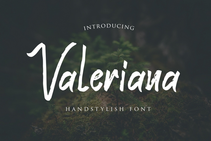 Valeriana Handstylish Font Font Download