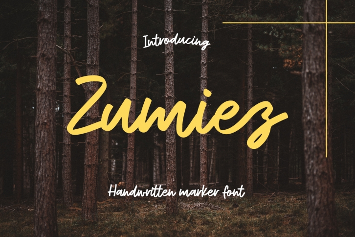 Zumiez Font Download