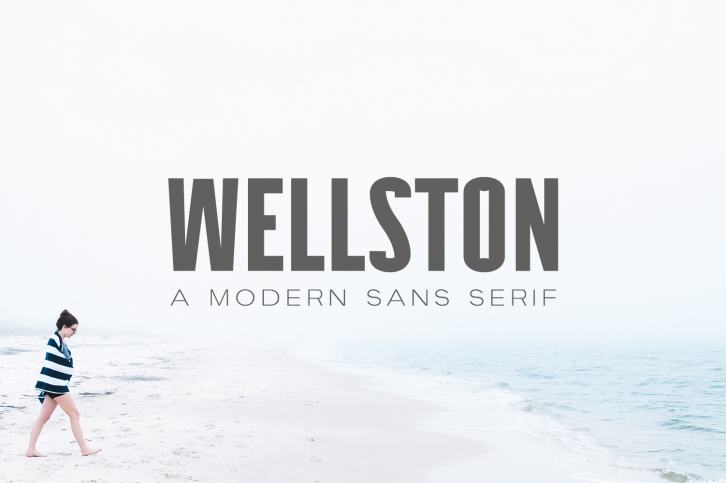 Wellston Modern Sans Serif Font Family Font Download