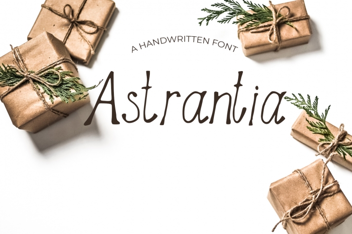 Astrantia Font Font Download