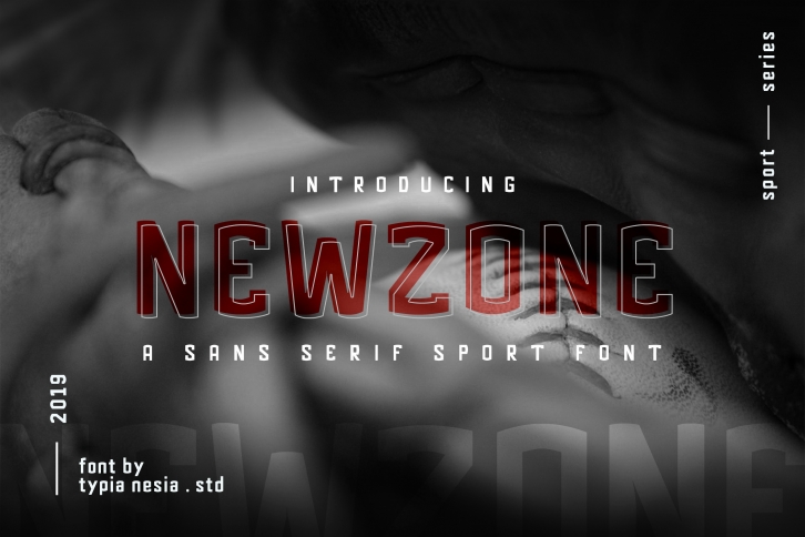 Newzone - Sport Sans Font Font Download