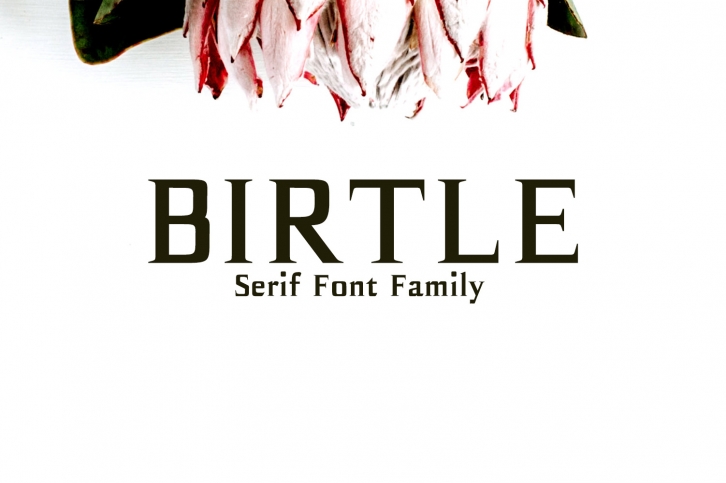 Birtle Serif Font Family Font Download