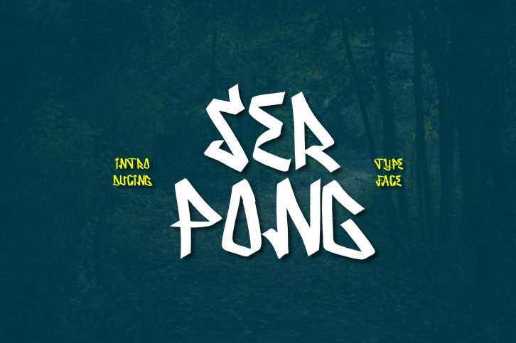 Serpong Typeface Font Download