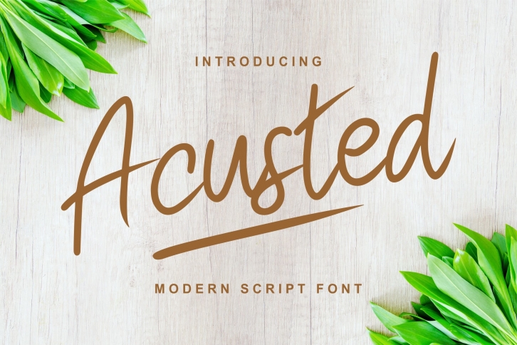 Acusted | Modern Script Font Font Download