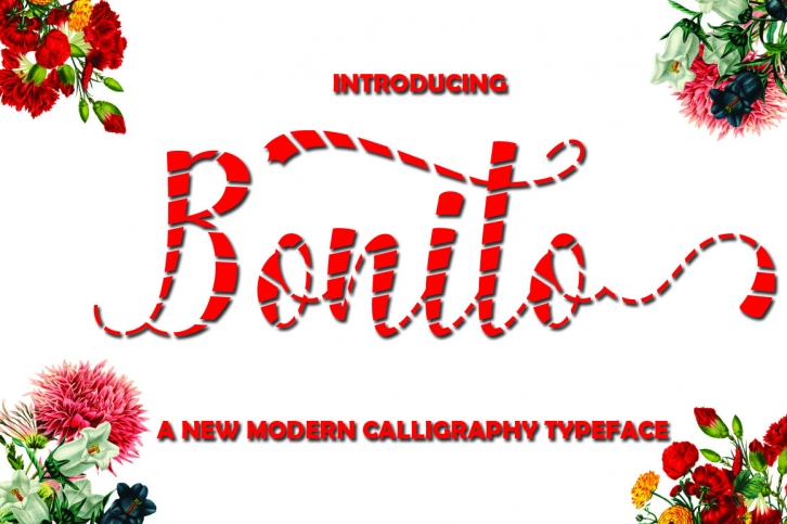 Bonito Font Download