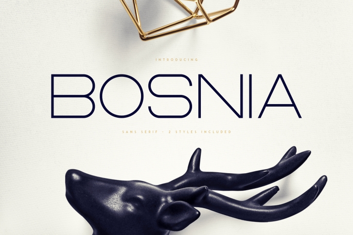 Bosnia - Sans Serif font | 2 styles Font Download
