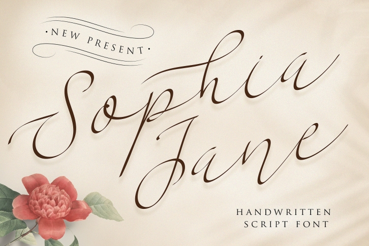 Sophia Jane Script Font Download