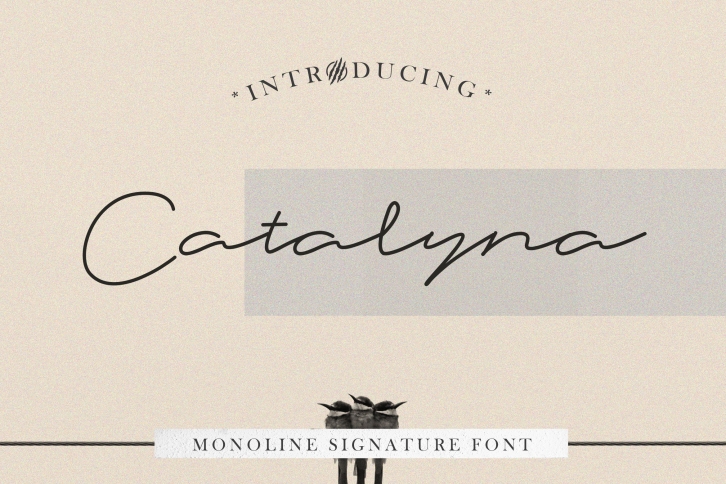 Catalyna Monoline Signature Font Download