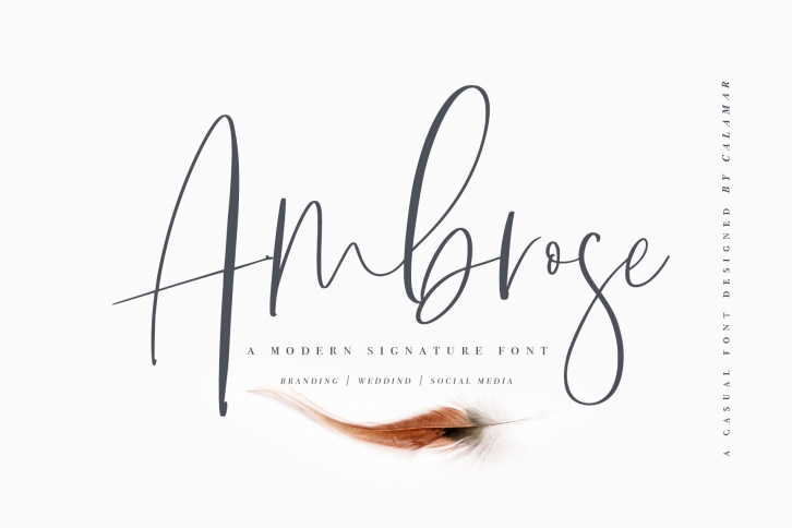 Ambrose Font Font Download