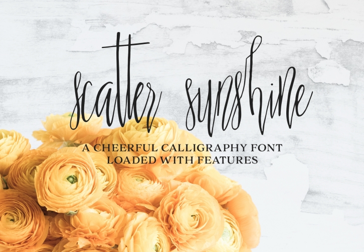 Scatter Sunshine Typeface Font Download