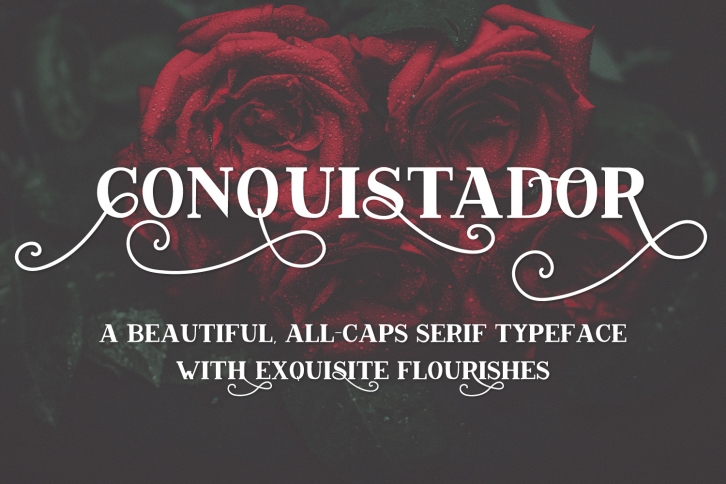 Conquistador Serif Font Font Download