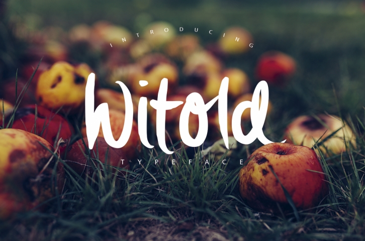 Witold Script Typeface Font Download