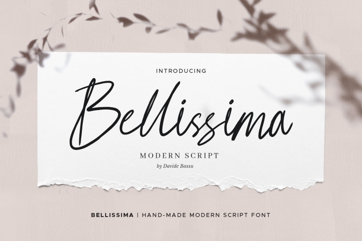 Bellissima - Messy & Modern script Font Download