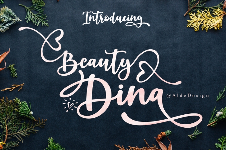 Beauty Dina | Beautiful Brush Script Font Font Download