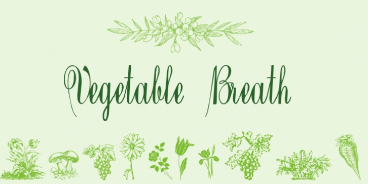 Vegetable Breath Font Download