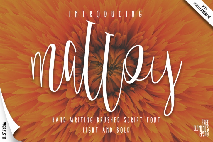 Malloy Font +Elements Font Download