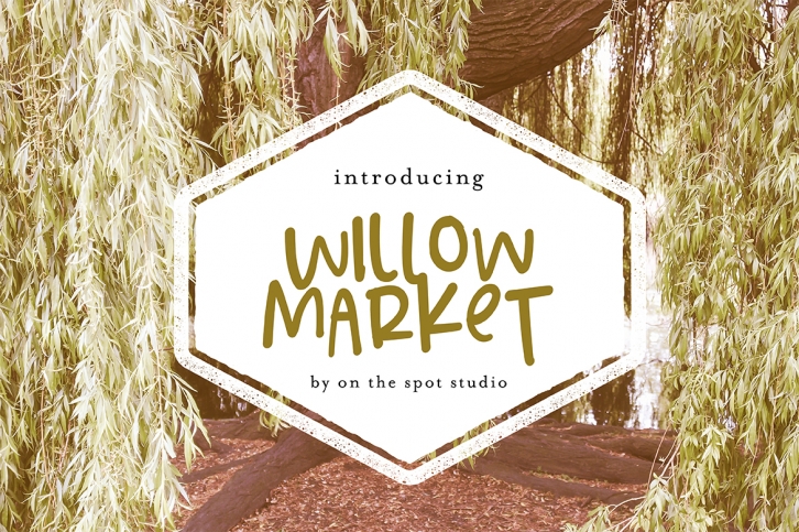 Willow Market + BONUS Script Font Download