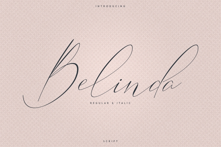 Belinda Script - Regular and Italic Font Download
