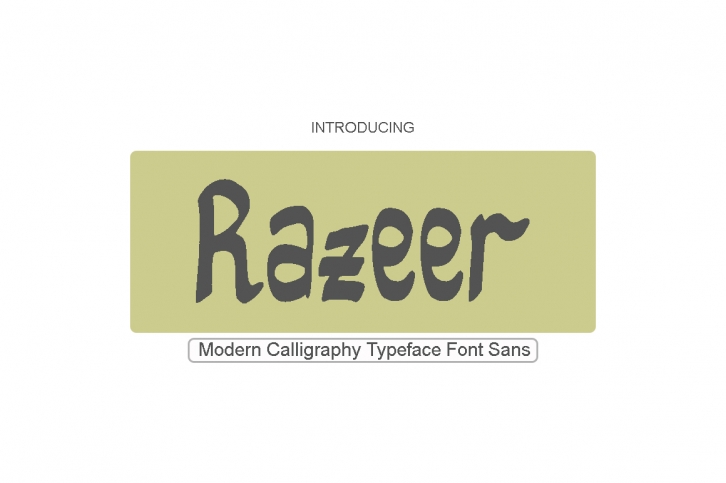 Razeer Sans Font Download