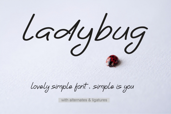 Ladybug | Simple Font Font Download